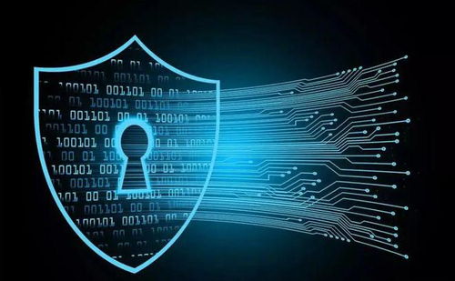 堅持防御型投資在互聯(lián)網(wǎng)信息服務(wù)領(lǐng)域的價值與回報